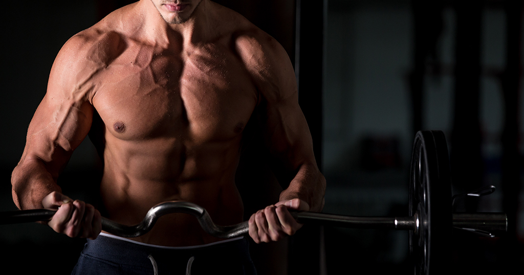 anabolismo-y-catabolismo-que-son anabolismo-y-catabolismo-que-son