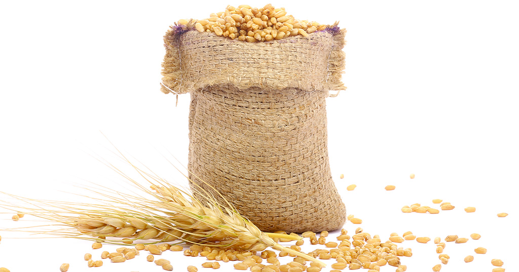 grano_trigo grano_trigo